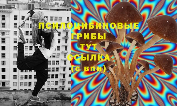 а пвп мука Фёдоровский