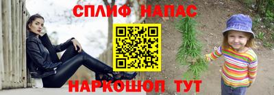 шишки Новокубанск