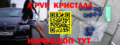 шишки Новодвинск