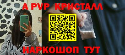шишки Новодвинск
