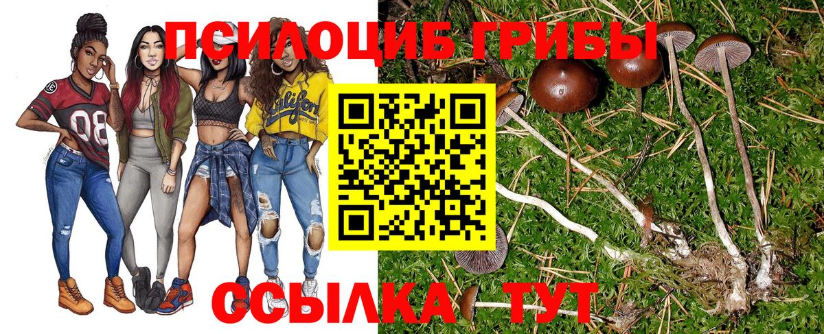 Псилоцибиновые грибы ЛСД Шали