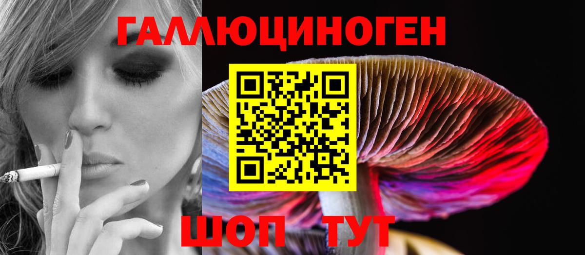 Псилоцибиновые грибы MAGIC MUSHROOMS  Псилоцибиновые грибы Magic Shrooms  Шали  Вход с VPN 